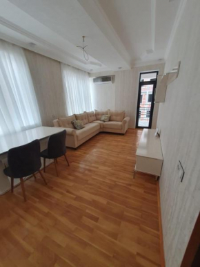 Apartment in the center
